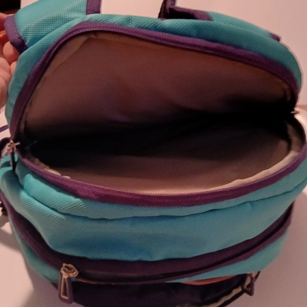 Magellan Outdoors Blue and Purple Backpack with Structured Design. Very Nice!!